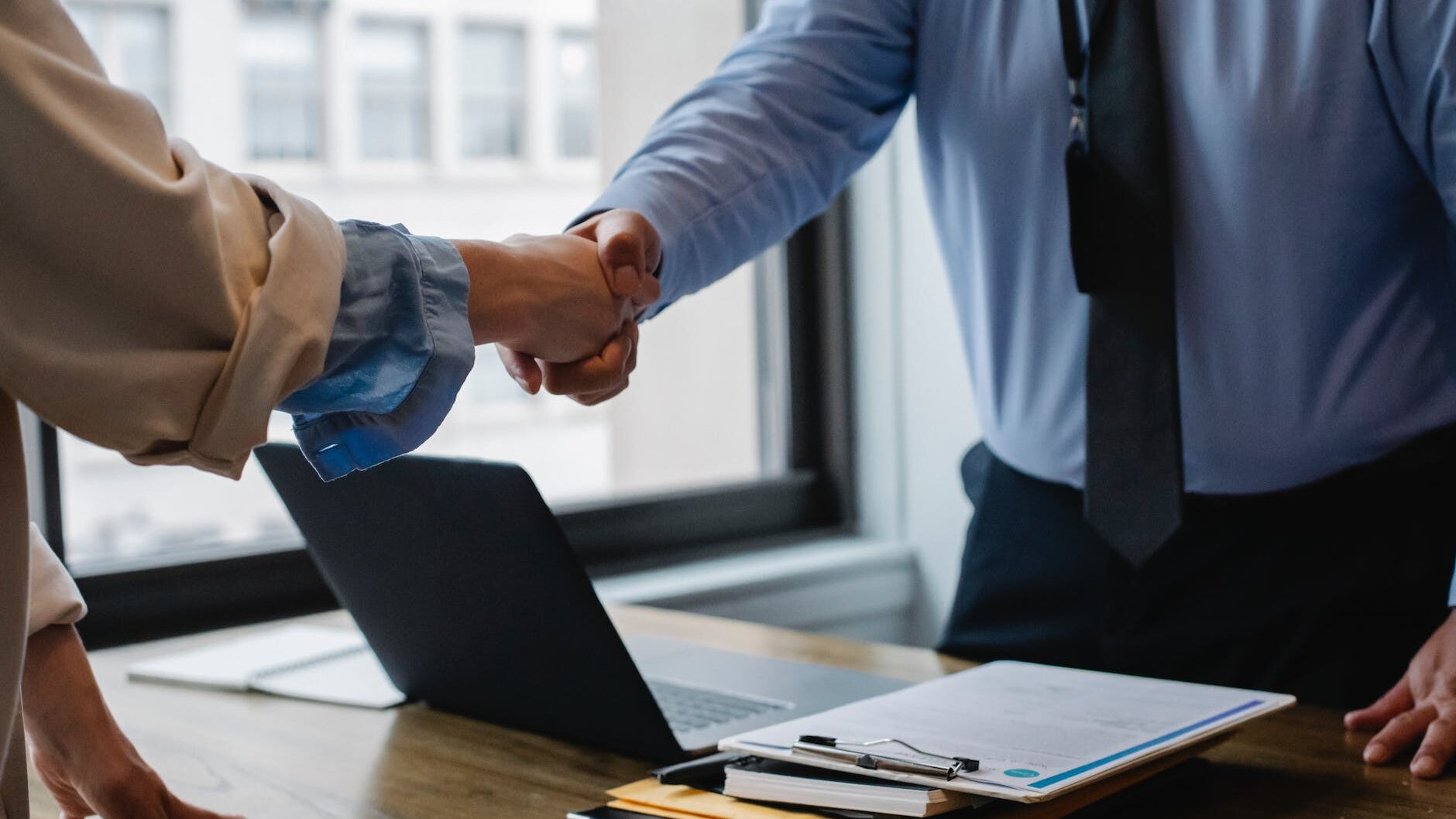 crop colleagues shaking hands in office